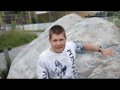 Kleines Waldlexikon (22) - Woher kommt ein tonnenschwerer Stein?? Was ist ein Findling??