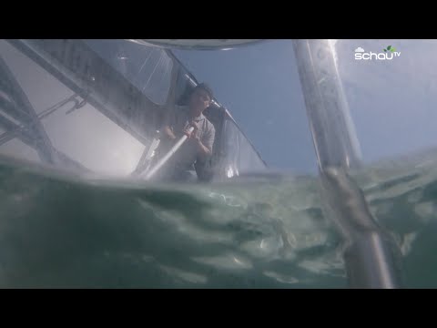 KURIER im Tiefenrausch: Alle Hintergründe