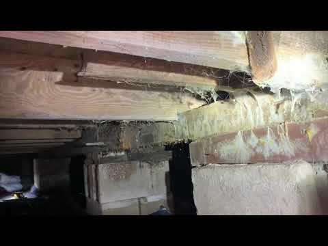 Moldy Crawl Space in Seaside Heights, NJ