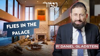 זבובים בארמון - ר' דניאל גלאטשטיין