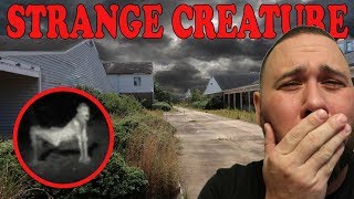 (The Rake?) Strange and Scary Creature Found While Exploring