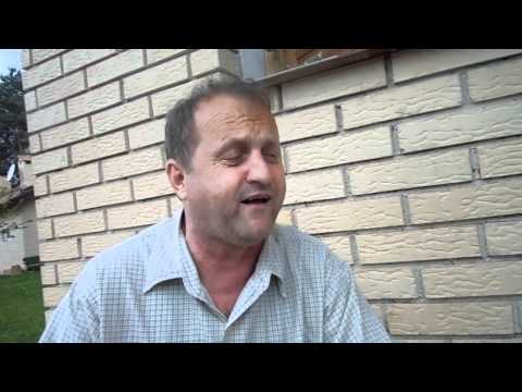 Zuti Hajrudin Bradaric Maglaj