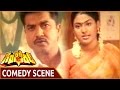 Gambeeram Movie Sarathkumar Pranathi Jose Superb Comedy Scene Sarath Kumar Shalimarmovies