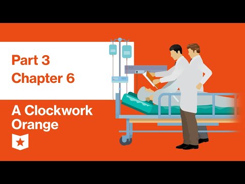 A Clockwork Orange by Anthony Burgess | Part 3, Chapter 6