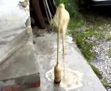 coca cola mentos spineda