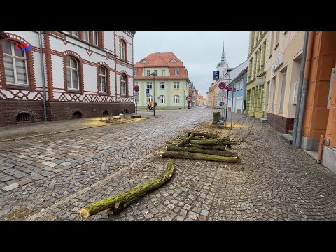 Hoyerswerda: In der Altstadt ist etwas faul (gewesen) - LAUSITZWELLE