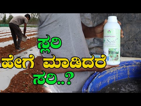 Potash Mobilizing Bacteria