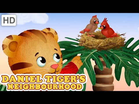Daniel Explores Nature | Daniel's Nature Walk (HD Full Episodes) | Daniel Tiger