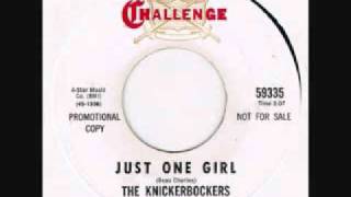 The Knickerbockers &quot;Just One Girl&quot;