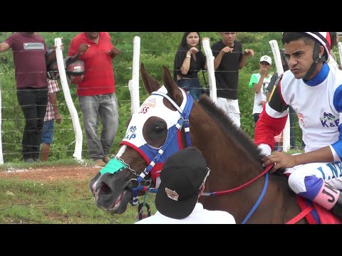 GRANDE FINAL DO GP HARAS PRIMAVERA 2022 - Espetacular,  confira!!! Corrida de Cavalos
