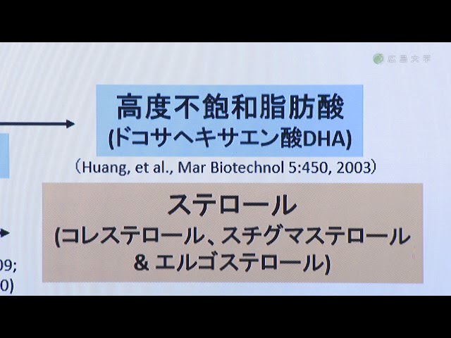 image-微生物バイオによる有用油脂の生産〜「理想の食」から「気候変動対策」まで〜
