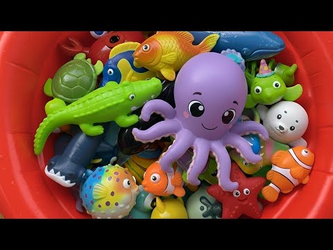Learn Sea Animal Names: Shark 🦈 Lobster 🦞 Crocodile 🐊 | Sea Animal Toys for Toddlers | Kids Learn 