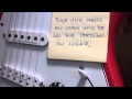 John Frusciante - What I saw (en español) 