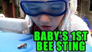 Baby's First Bee Sting
