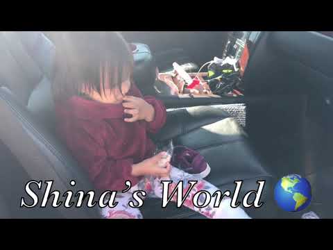 Shina Goes For a Walk to Manhattan Beach Pier