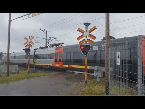 Tåg i Mörrum: Tåget i Sommar regn