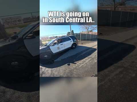 Was zum Teufel ist in South Central LA los.. 😳