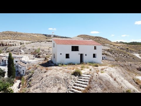 video image