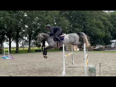 Simply de Regor v. Cornet Obolensky x Kannan x Cento