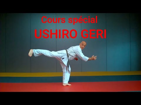 Teaser USHIRO GERI