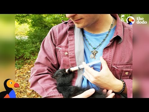 Squirrel Still Visits Man Who Rescued Him As a Lost Baby | The Dodo