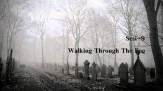 Scsi-9 - Walking Through The Fog