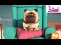 Love Pugs Follow The Pug Channel