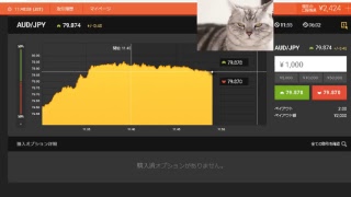 【FX】1万円から始める為替取引【BO】