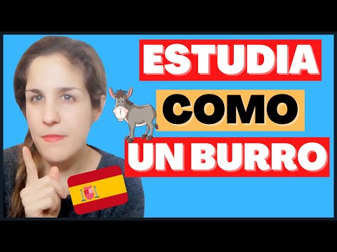 11 Expresiones Idiomáticas con ANIMALES en español: ¡aprende a hablar como un hablante nativo! 🐴