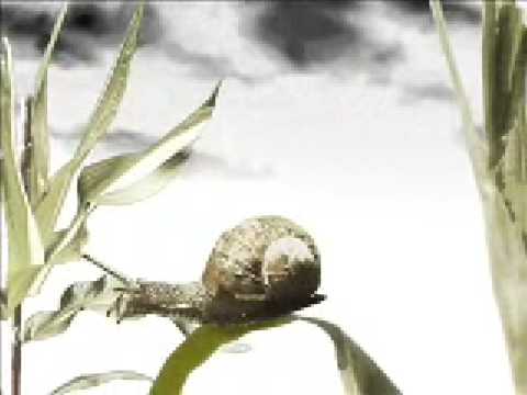 Electronikboy- Mon Petit Oiseau