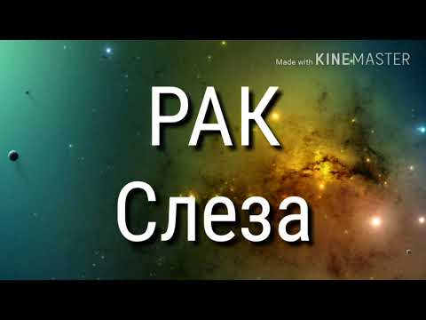 Какая ты песня по знаку зодиака?