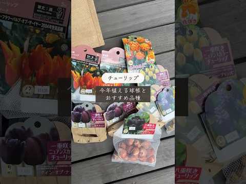 どの植物が鳥を惹きつけるのか