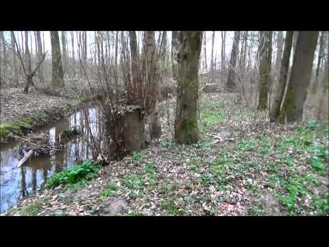 [Cthulhu Now] - Die Angstshow - Einleitung und Trailer