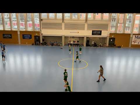 Silwing Troja – Hammarby IK HK (p2012) 2/2