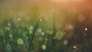 #2【大人になって好きになったもの】【これからの事】デクスターズラジオ