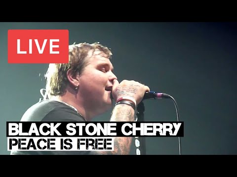 Black Stone Cherry - Peace is Free Live in [HD] @ Le Zenith, Paris 2011