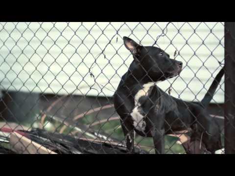 SMG's King Tully "Rich One Day" ft.Genesis Baaby (Official Video)