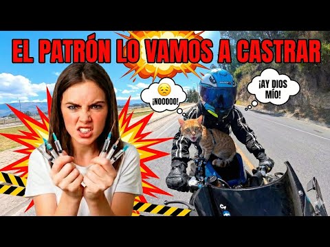 REACCI&Oacute;N &Eacute;PICA! El Patr&oacute;n visita al Veterinario 💉🐈&zwj;⬛ (Biker Cat vs The Vet)
