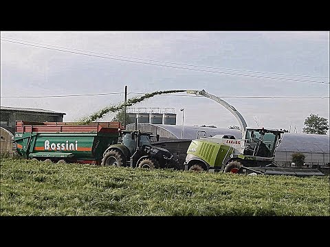Claas Jaguar 970 + Domai MPD 611 - 2 Case IH & 2 JD - Bossini - F.lli Tirelli - Barley silage 2018