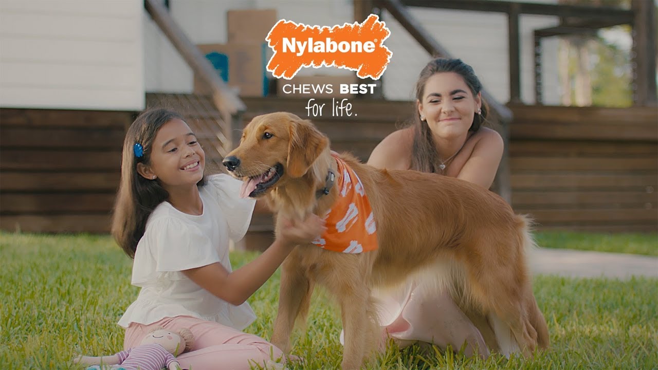 Nylabone 公式動画