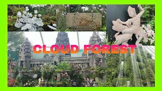 Going back here in Cloud forest #singapore #cloudforest #amazing #beautiful