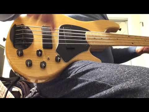 Lakland Skyline 55-01 Bass@gagiktoroyan1288