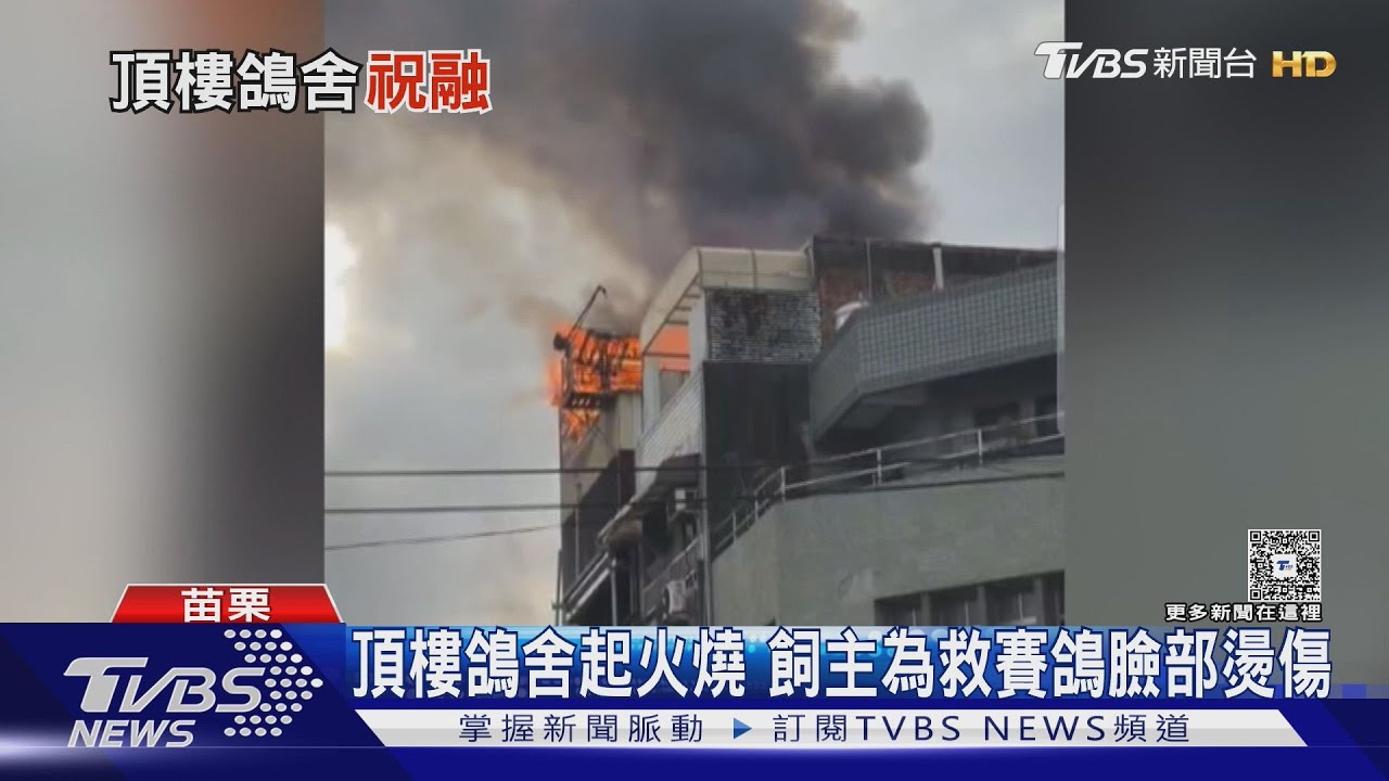 影音/鴿舍竄火!屋主「衝頂樓搶救賽鴿」臉部燙傷送醫