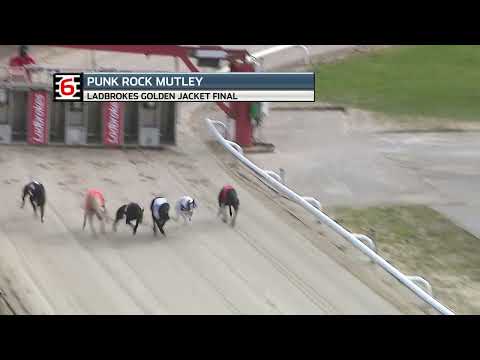 2021 GOLDEN JACKET FINAL - PUNK ROCK MUTLEY