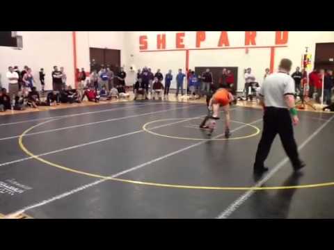 Stokes Shepard v. Balich BR.