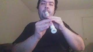 Edguy - Holy Shadows flute (recorder) cover
