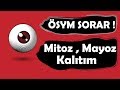 Sorularla Mitoz , Mayoz ve Kalıtım (ÖSYM Sorar)