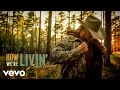 Brian Kelley How We Re Livin Audio