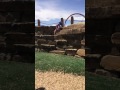 Desi Park Climbing