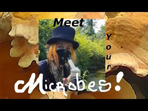 Meet Your Microsphere